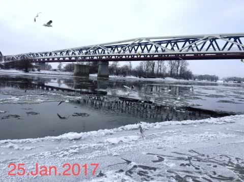 Donau 2017